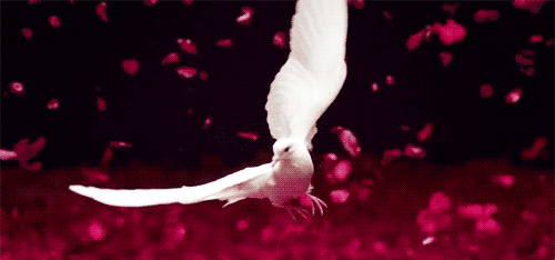 deepitforest:annunciation