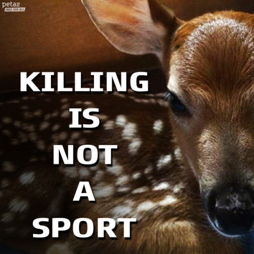 peta2:  Hunting isn’t “fun” for everyone.   So real