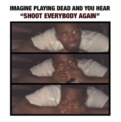 flexico-burress: gunzonyatmblr: LMAOOOOOOOOOO This is my favorite post on the entire internet.