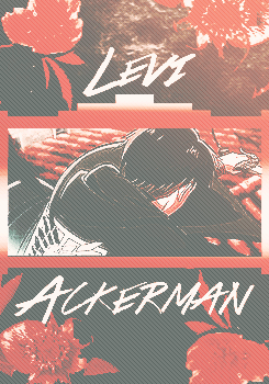  Levi Ackerman & Mikasa Ackerman + Red Flowers [★]    
