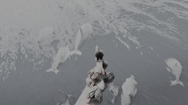 The Ocean Is Calling.