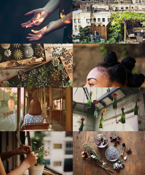 cashmeremammoth:  hedge witchesliaroflesbos: witches that own bakeries and greenhouses, who have gardens on their apartment’s roof, who have etsy’s selling luck potions and beauty pendants, who make potions in their sink and think of their mother’s