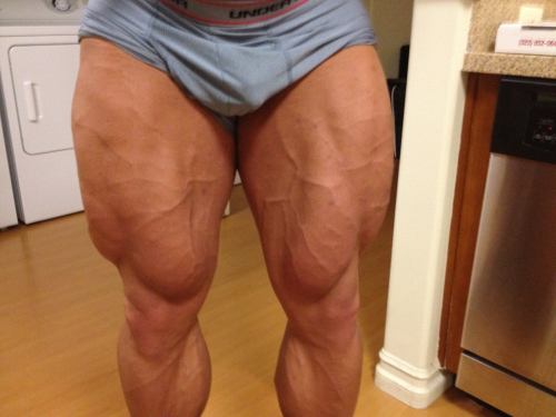 Muscle Mayhem!