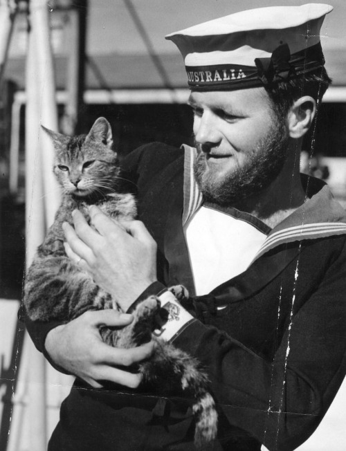 THE HMAS AUSTRALIA [II] STORY: The cat of AUSTRALIA, ca 1950, Argus Collection, SLV, courtesy Geoff 