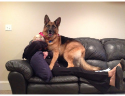 cute-overload:  I think my dog loves his Mom.http://cute-overload.tumblr.com source: http://imgur.com/r/aww/XioLIp4