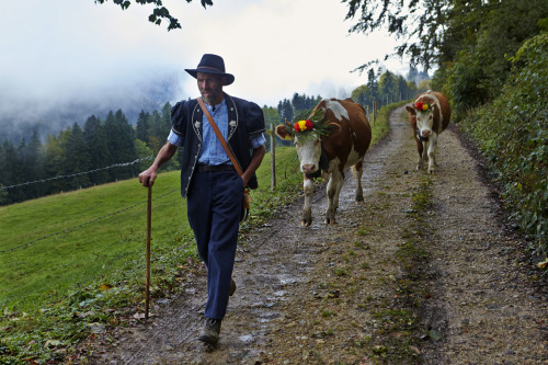 In Gruyeres, western Switzerland, from mid-May to mid-October, the fifth generation of the Murith fa