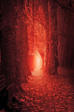 lsleofskye: Pathway