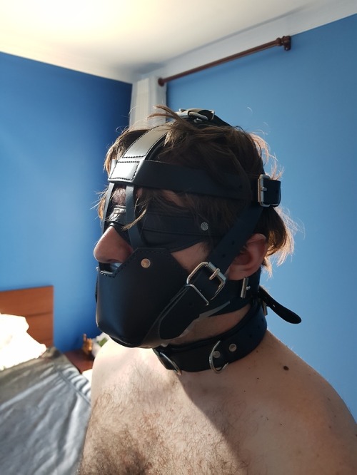 blogaddictedtoropes: This morning. First a ball gag. A well done tape gag and a muzzle over all. I l