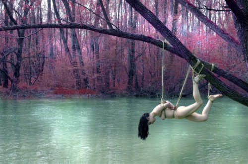 vlychee:    Hikari Kesho2009. Observing the stillness of Brenta river  