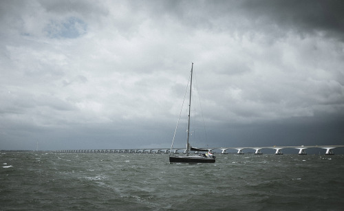 Joys of Nature. Discovering Zeeland &amp; new horizons.