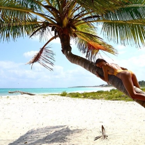 creaturesofcommonplace: Today is most definitely a beach day. PC: @keller_rose (at www.creaturesofc