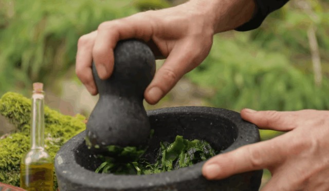 Some Different Herbs And Their Magickal uses