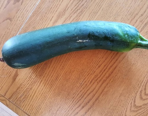 We missed one. #giantzucchini #garden #gardensofinstagram #farmtotablehttps://www.instagram.com/p/