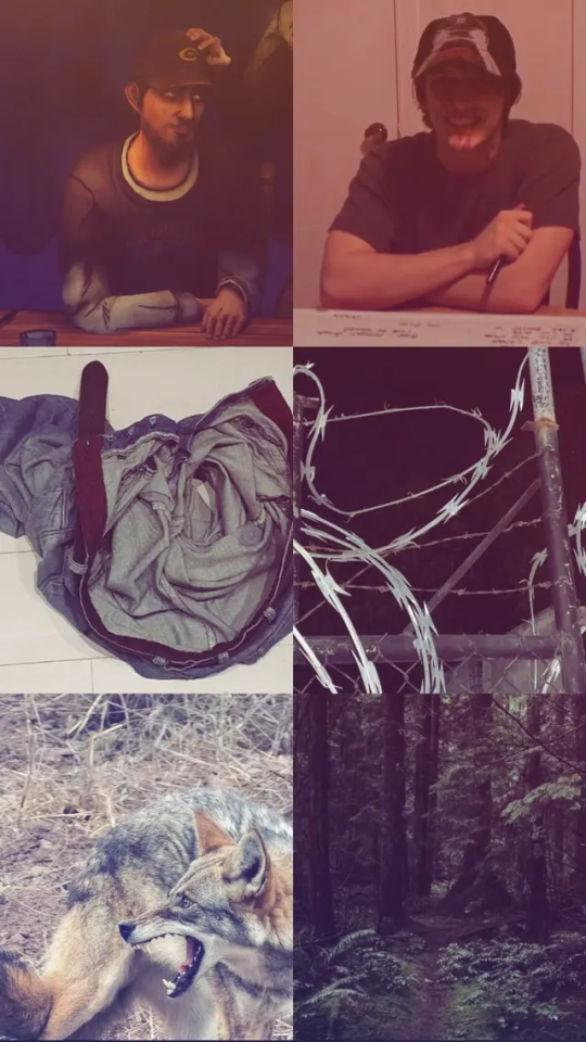 Tumblr media