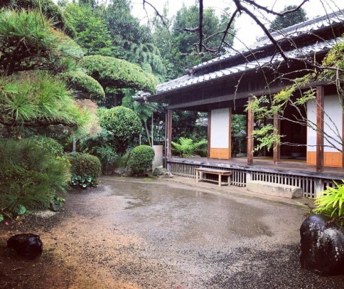 ＼おにわさん更新情報／ ‪[ 鹿児島県出水市 ] 出水麓武家屋敷 税所邸庭園 Izumifumoto Samurai House Saisho-tei Garden, Izumi, Kagoshima