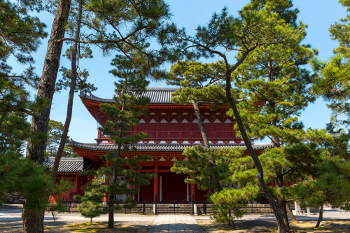 三門 - 妙心寺 ／ Myoshin-ji Temple by Yuya HorikawaVia Flickr:I want to introduce to the world, Kyoto view