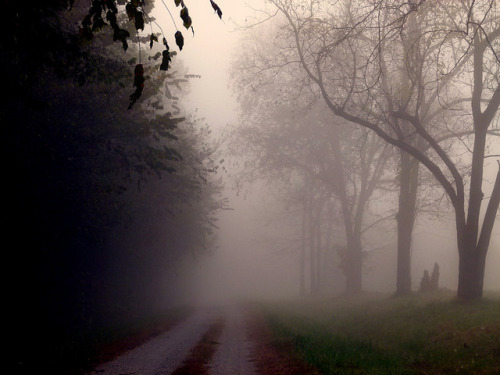 Foggy Morn Mountain Home Arkansas by Kat~Morgan on Flickr.
