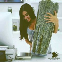 theganjagirls:  New Pic From @weedpalace #ganjagirls #weedpalace Source: https://www.instagram.com/p/BASsE95wxXQ/TheGanjaGirls.com