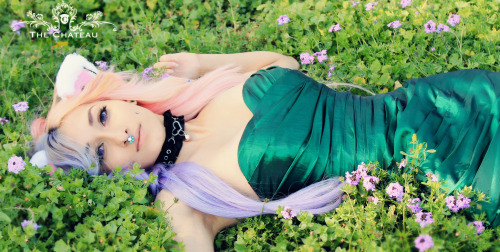 thelittleskylark:  catgirlmanor:  Spring has arrived at The Chateau! Scream Kiwi’s gorgeous spring shoot.  love this!