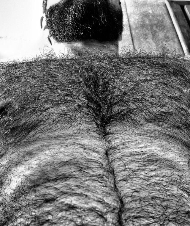 Hairy Chest Perfection