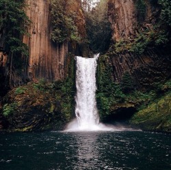 eartheld:  sidestroke:  n-c-x:  eartheld:  feelmyvibesss:  * * ☽ * ☀ * ☾ * *  mostly nature  nature blog  hella nature  mostly nature
