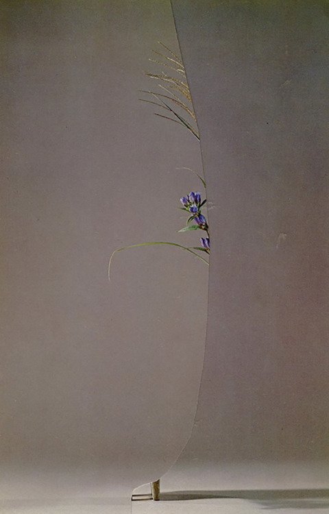 xjmlm:nevver:Flora and Fauna, Nicola KloostermanNicola Kloosterman