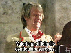 cleowho:“And just a hint of rosemary.”Castrovalva - season 19 - 1982