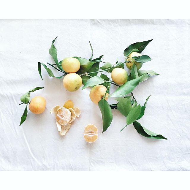 Can&rsquo;t imagine a world without the most delicious citruses cor