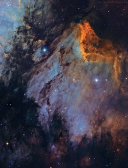    IC5070 - The Pelican Nebula by Jesús M. Vargas and Maritxu Poyal      &ldquo;New reprocessed. This time the sum total of Narrow Band + RGB + Luminance Halfa shots, treated with stars.&rdquo;      The Pelican Nebula is an H II region associated with