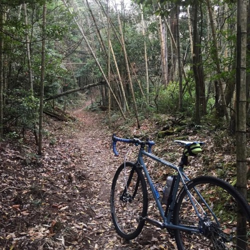 happybiketaro:いつもの下りを登ってます。 (at Higashihiroshima-shi, Hiroshima, Japan)www.instagram.com/p/B