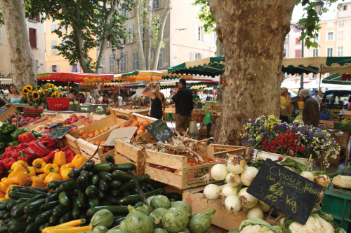 amediterraneandestiny:Aix-en-Provence, France