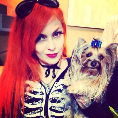 vudulicius:  Cafecito relax con Tifa #Yorkie #Dog #ManicPanic #ManicPanic #BabyDog #Cute  (en Coyoacan, Mexico City)