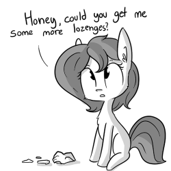 thehorsewife:   “Actually I am an average sized pony”   XD