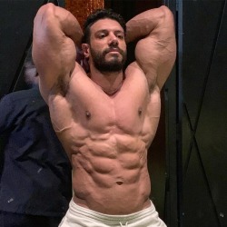 Hany Saeed