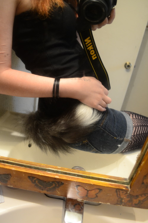 justpets:  Check out this beautiful submission from prettypredatorything