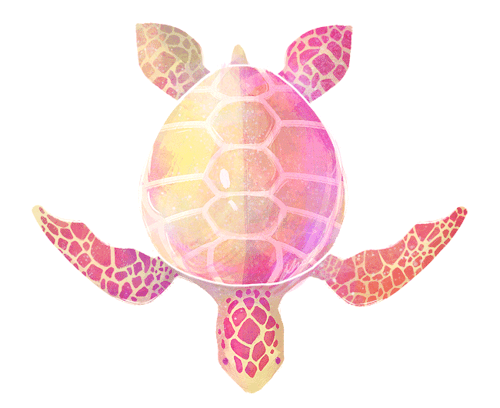 little turtle gif