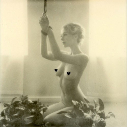 15% off inkjet prints (including this image) with SPRINGFLING15 ends this Sunday, April 7th! www.she