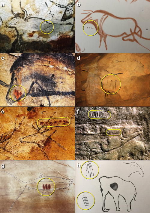 Archaeologists Uncover Upper Paleolithic Proto-Writing System