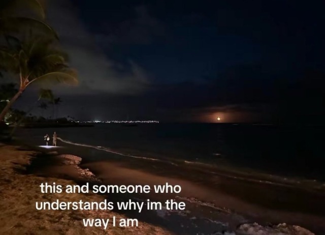Embedded image 1
