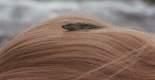 amatesura:  Enchanted April (1991) | dir. Mike Newell