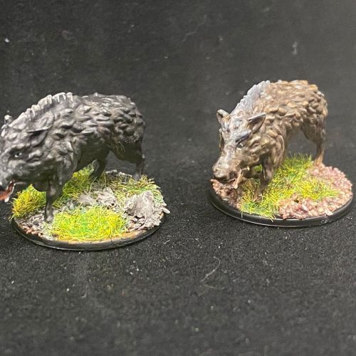 A couple of wild boar for my campaign, settled nicely on my first fully independent bases from my la