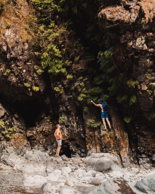 Last summer hike up the canyon with Glasswing.