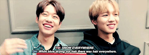 swoojin:rip to all the hair that they lost for this comeback