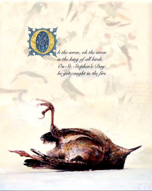 Lá an Dreoilín: Wren Day is celebrated in Ireland on December 26th, St. Stephen&rsquo;s Day. In the 