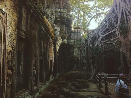 How nature took over just about everything in thousands of years. Maaaaan. #TaProhm #Temple #Jungle 