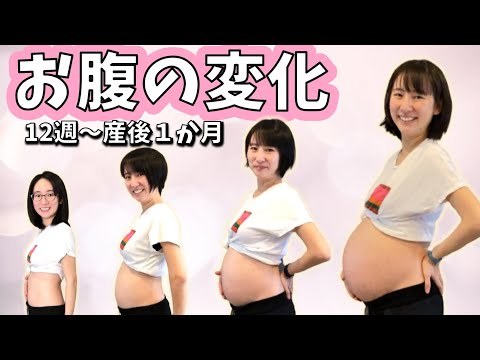 Over Obgyn Things 妊娠初期 産後1か月のおなかの変化 妊娠12週 出産 産後 妊娠生活 タイムラプス動画 Over Obgyn Things 妊娠初期 産後1か月のおなかの変化 妊娠12週 出産 産後 妊娠生活 タイムラプス動画