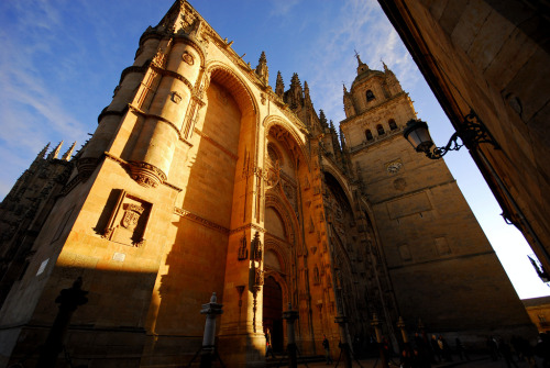 sailaway-fromthesafeharbor: Salamanca, Spain (by carlos jm)