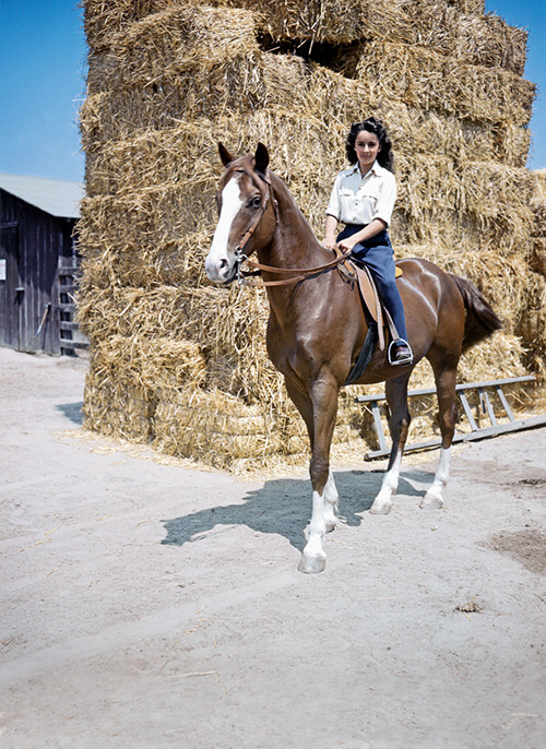 classicaldreaming: all-the-horses:  King Charles Thoroughbred, Gelding Born 1937 This horse played “