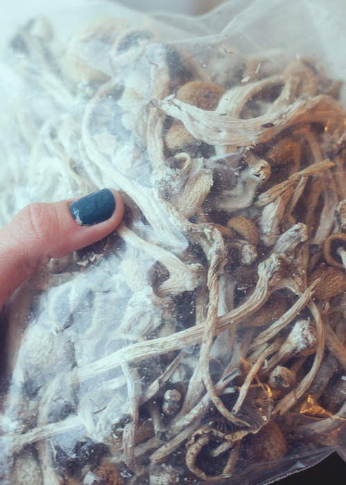 lola-pastel:  bud-babe:  a big bag o’ magic     ☾More Spiritual/Hippie/Psychedelic posts here ☽    
