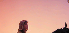 areax-a:Do you know that hawks and wolves mate for life?Ladyhawke (1985) dir. Richard Donner
